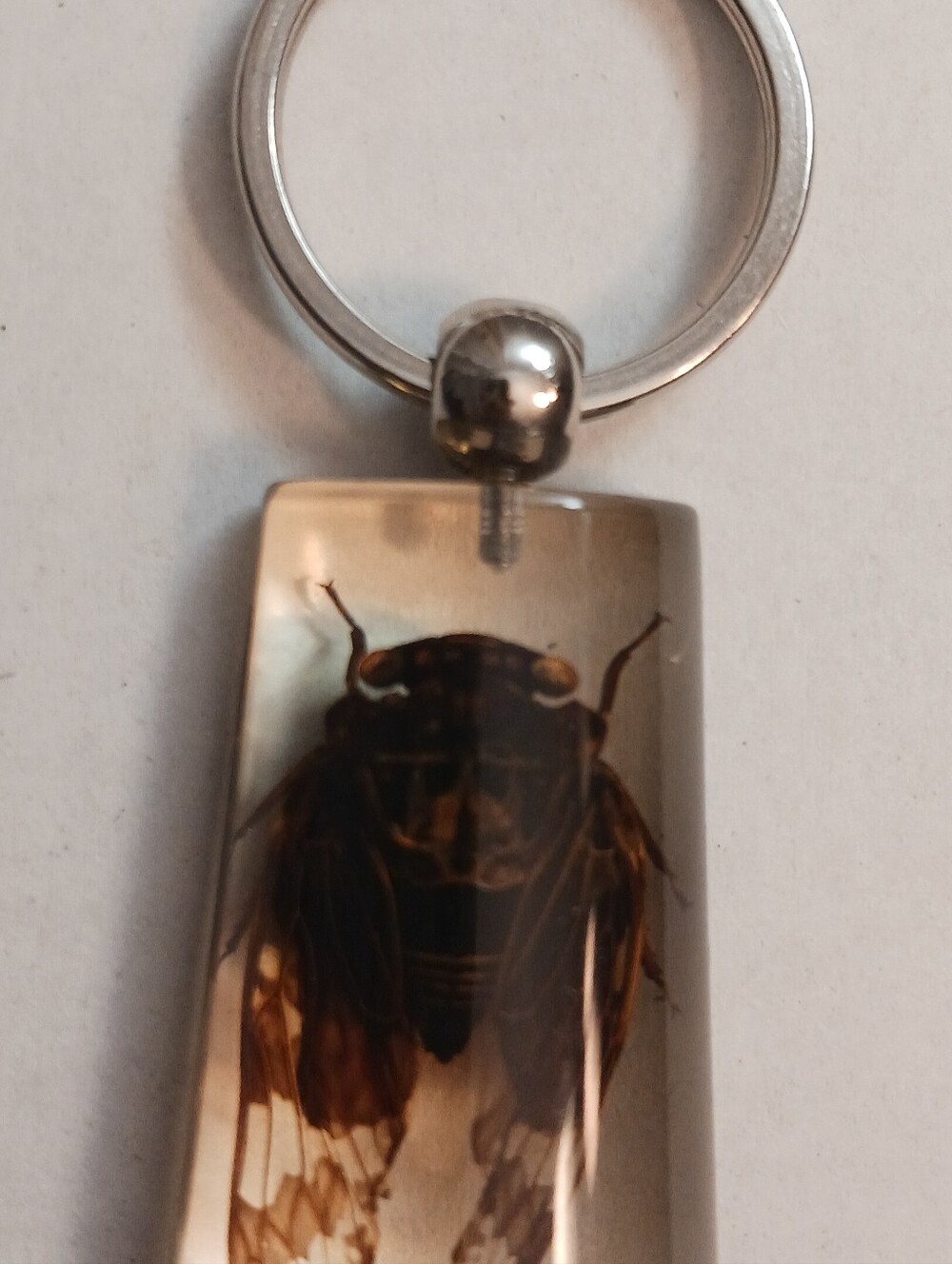 Two's Company Big Bug Keychain , Resin 1.75in Fob , 3in Total